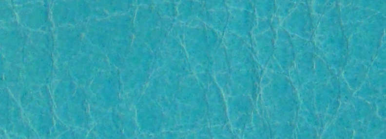Aqua WY
