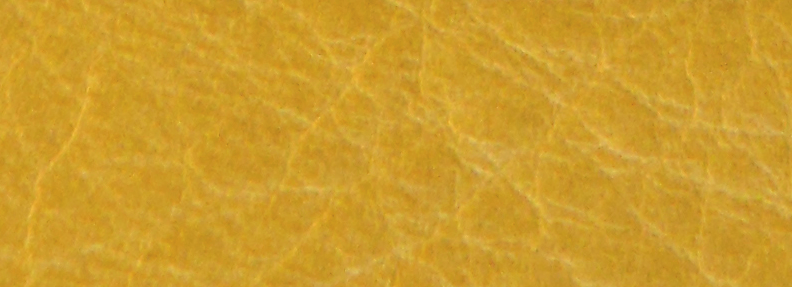 Yellow WY