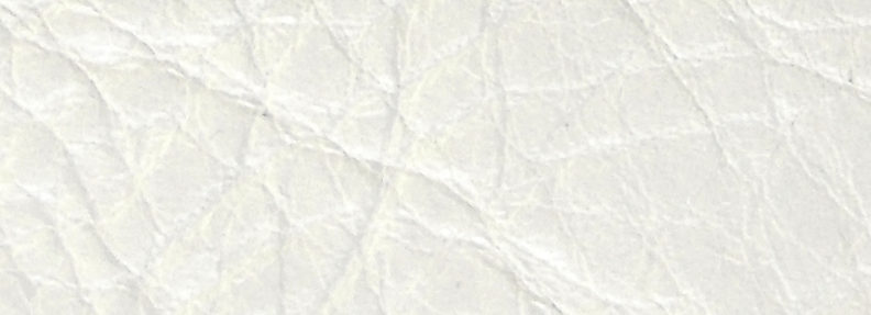 White WY