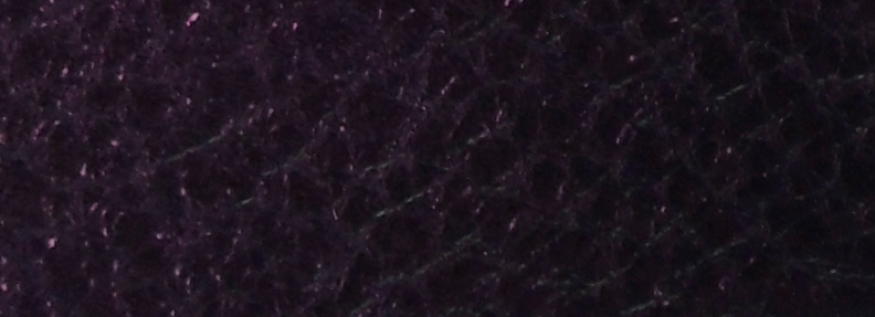 Violet SH
