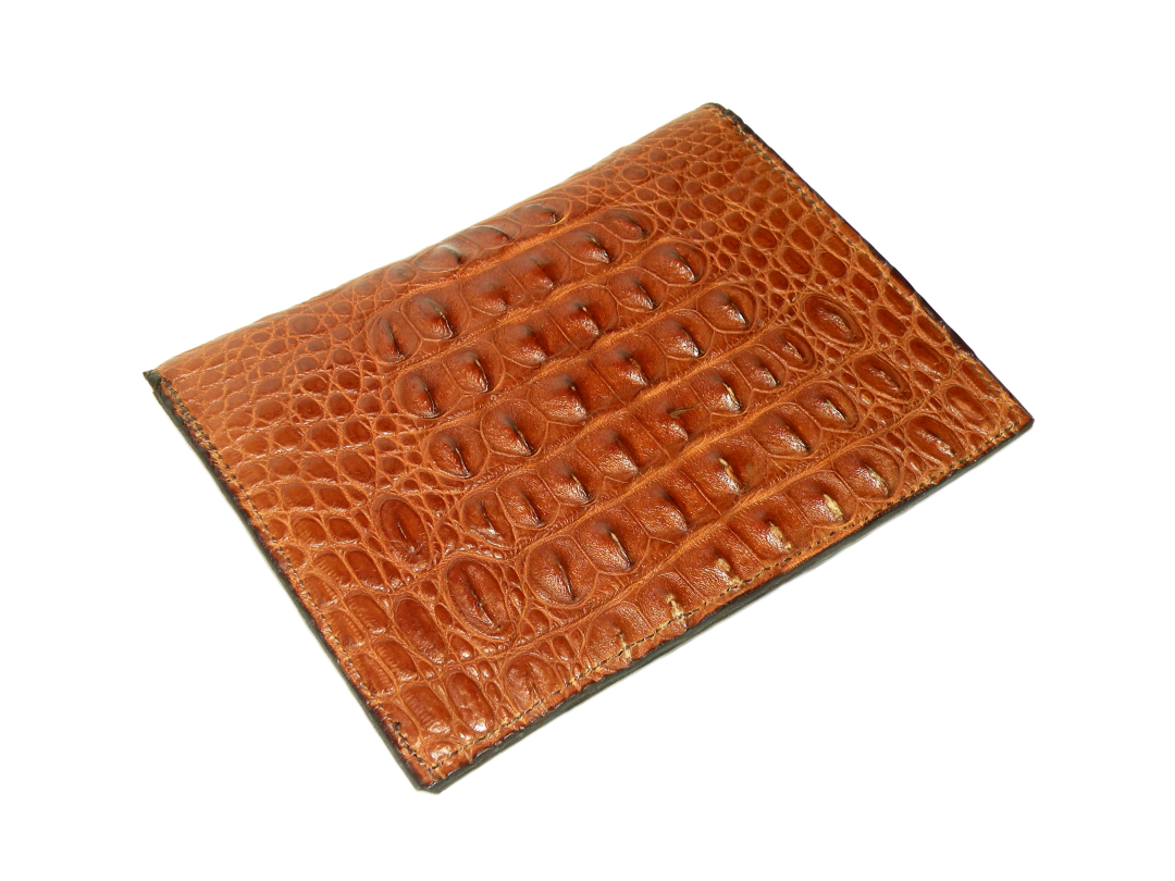 DSCN7052 EDIT Resize Recrop.png