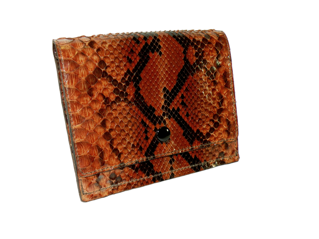 DSCN7137 EDIT Resize Recrop.png