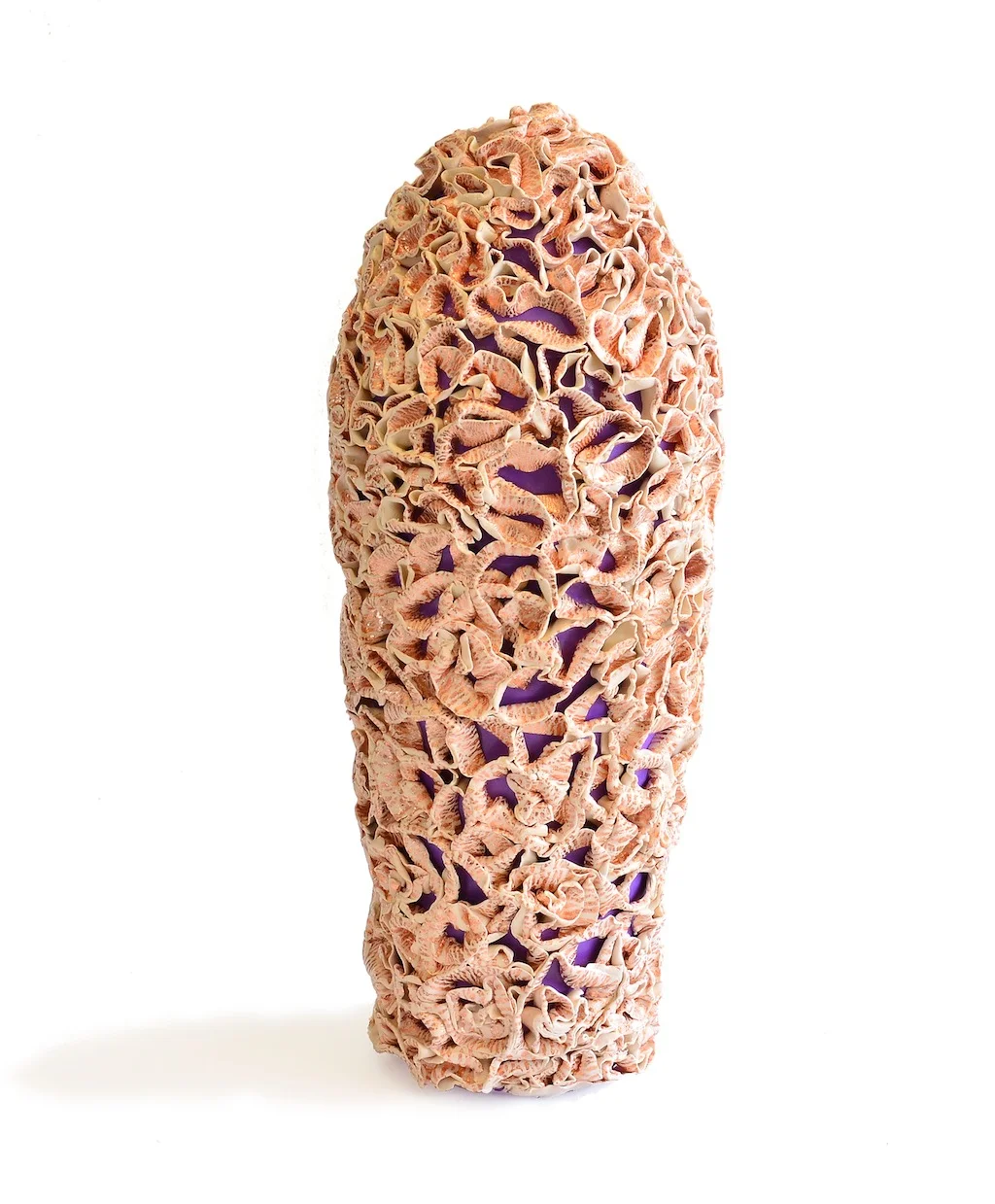 02 Coral Displayware_finalised.jpg