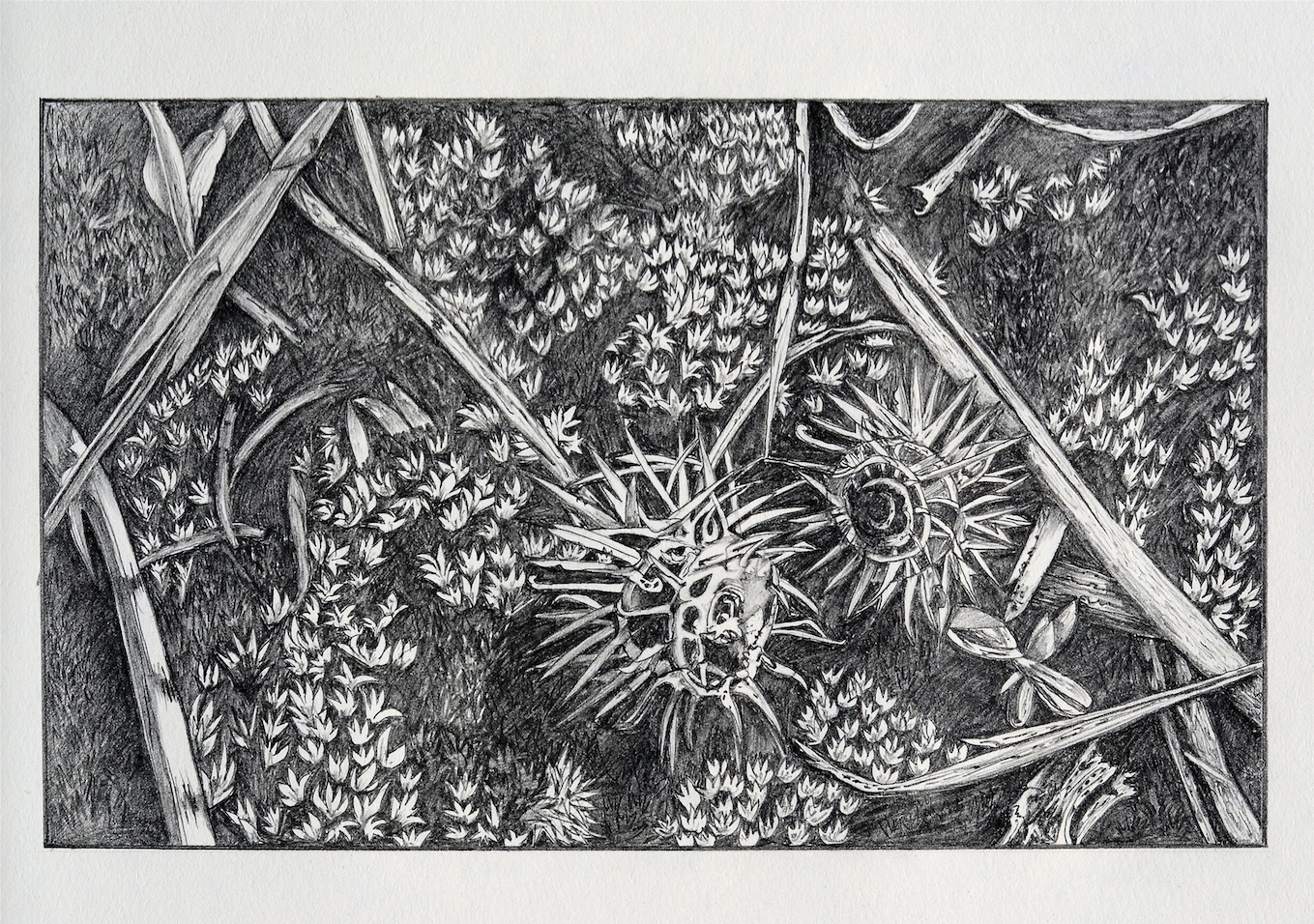 Tapestry with burrs