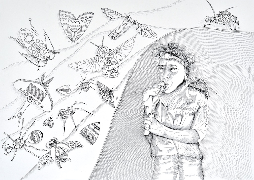 Insect Drones