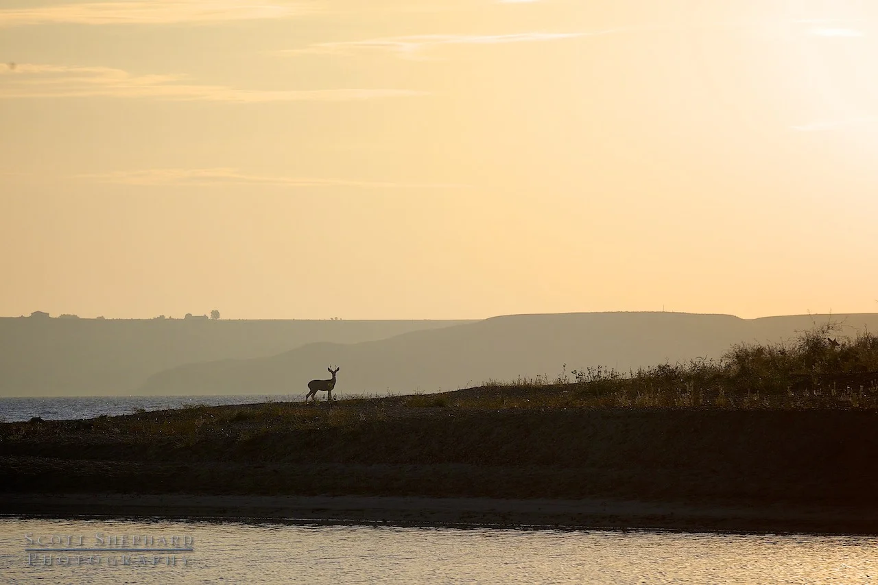 2014 01-26 Vigilance by Watertown, South Dakota, photographer Scott Shephard