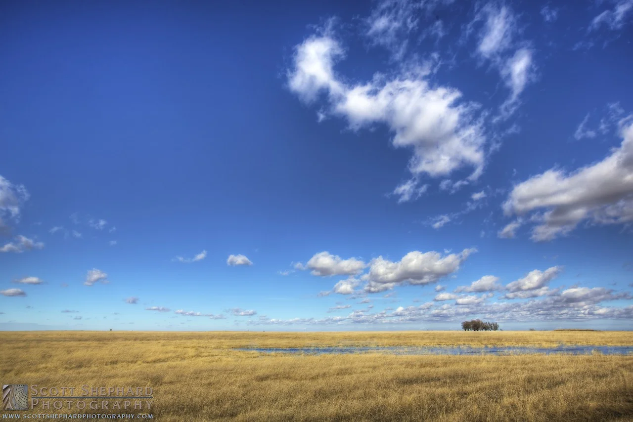 2014 03-18 The Great Wide Open (1).jpg