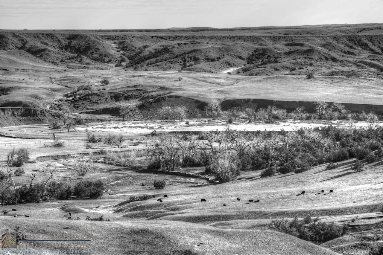 2014 03-16 Bucolic.jpg