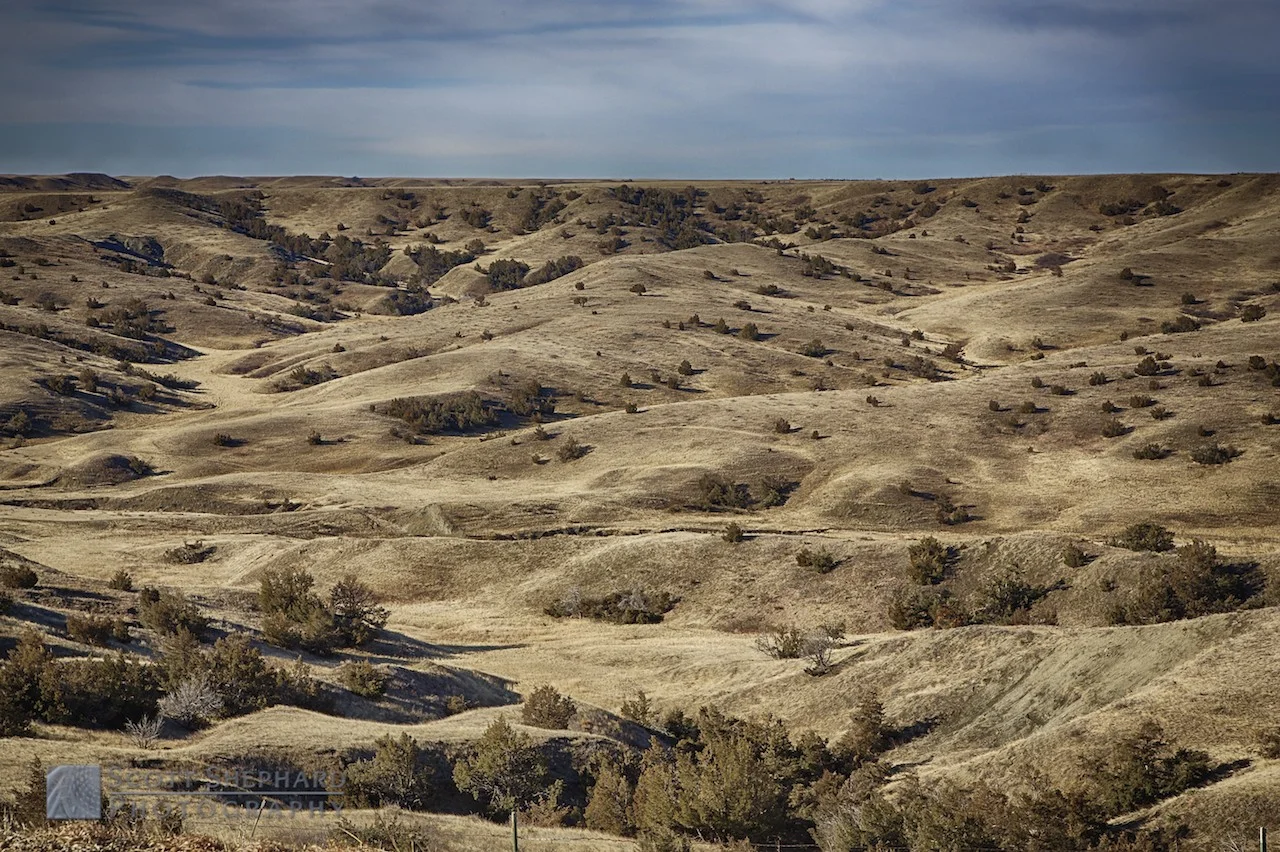 2014 03-14 Beyond Wasta.jpg