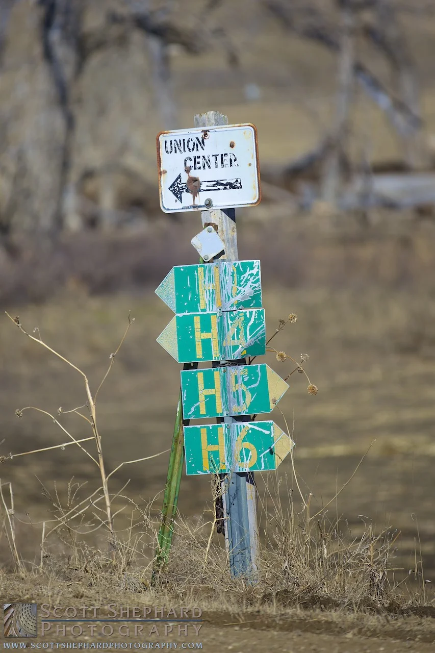 2014 03-17 Relic.jpg