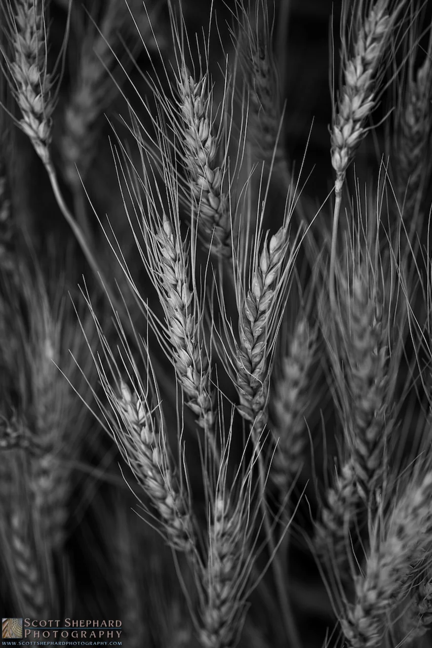 2014 08-31 Patterns.jpg