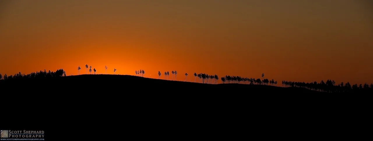 2014 09-01 Tree Line by Watertown, South Dakota, photographer Scott Shephard