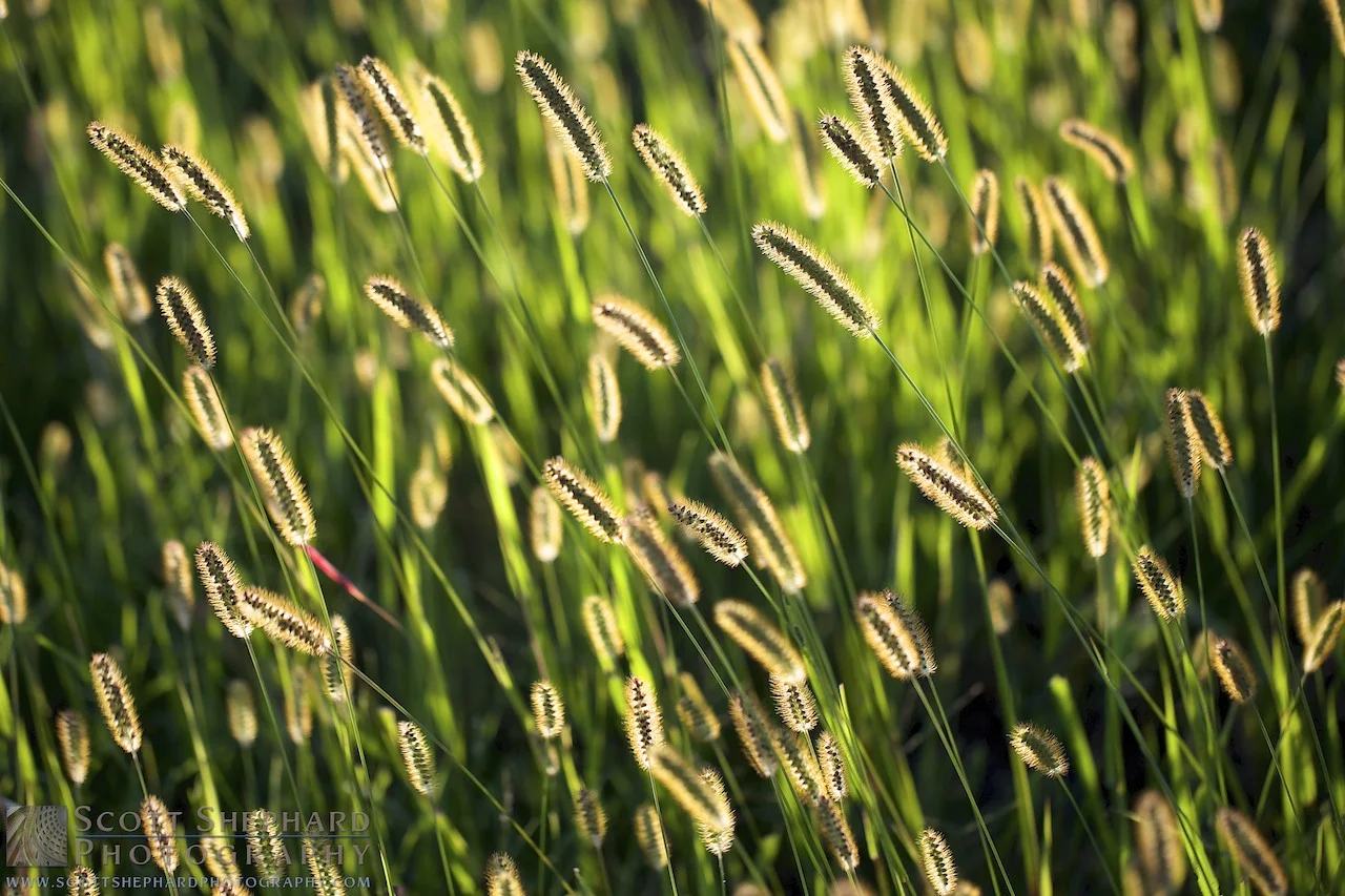 2014 09-08 Electric by Watertown, South Dakota, photographer Scott Shephard