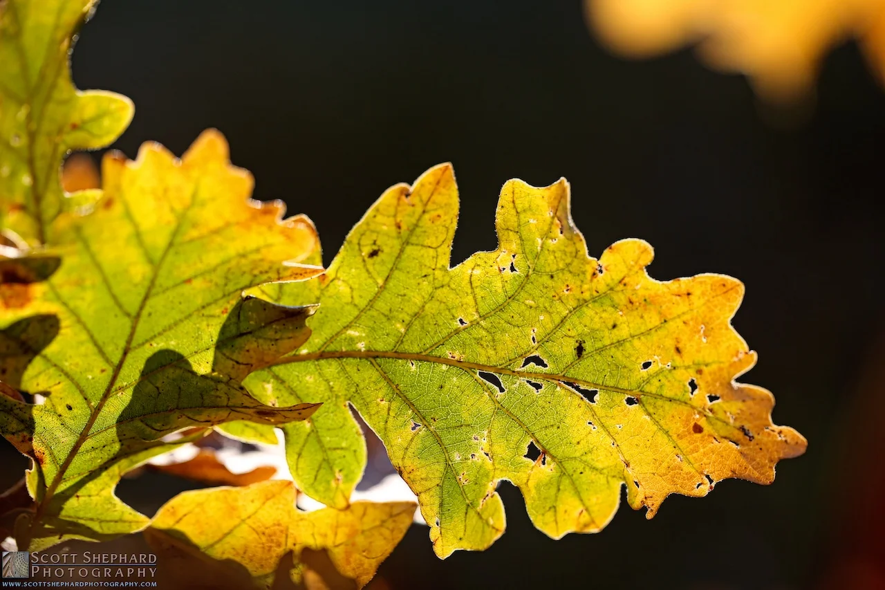 2014 09-21 Change of Seasons by Watertown, South Dakota, photogr