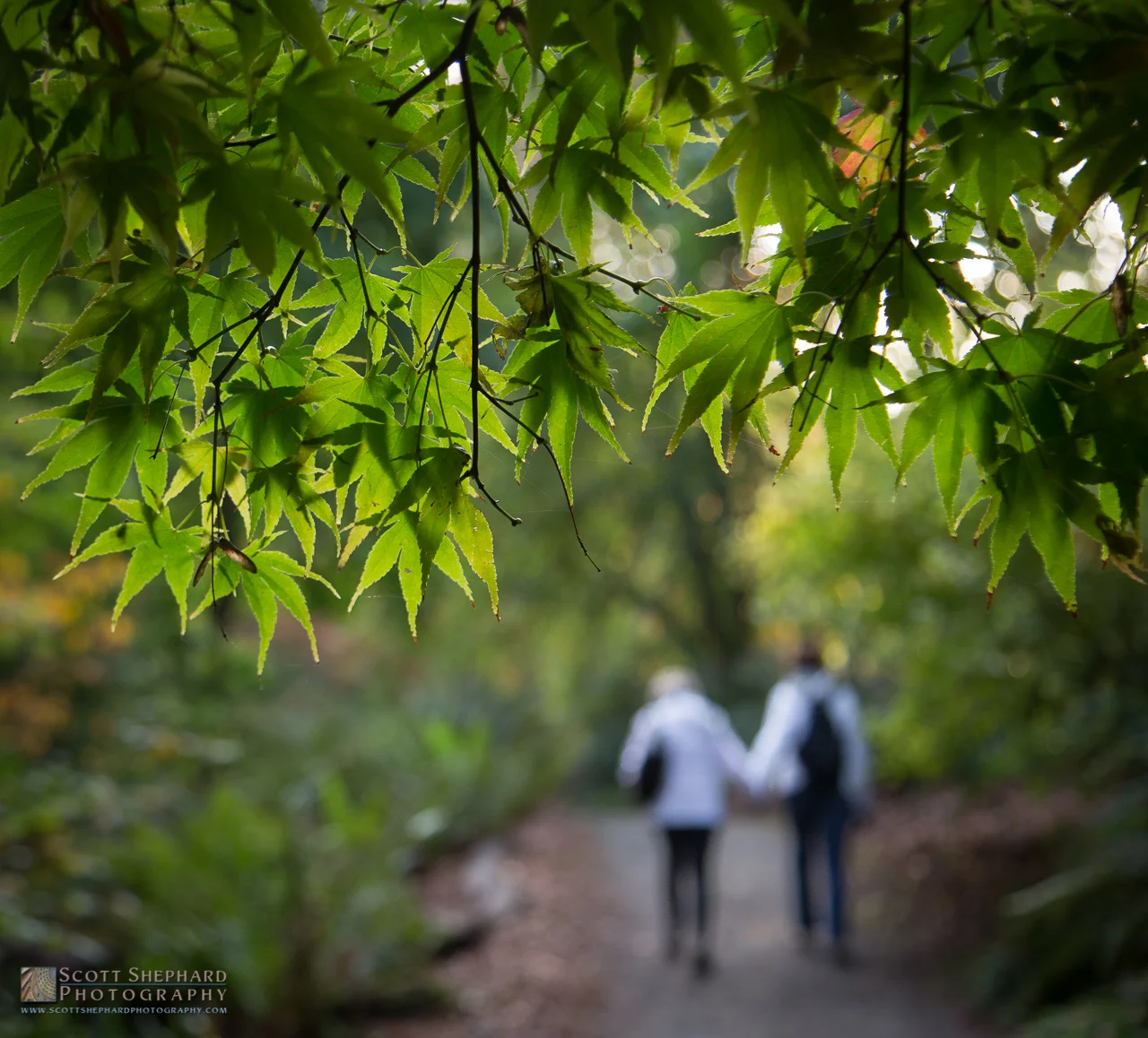 2015 10-31 A Walk In the Park