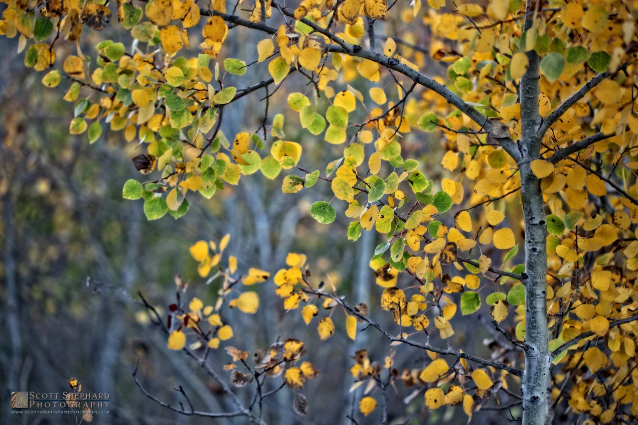 10-02-16 Change Is in the Air