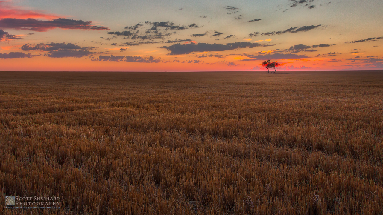 12-16-18 After the Harvest (HDR)