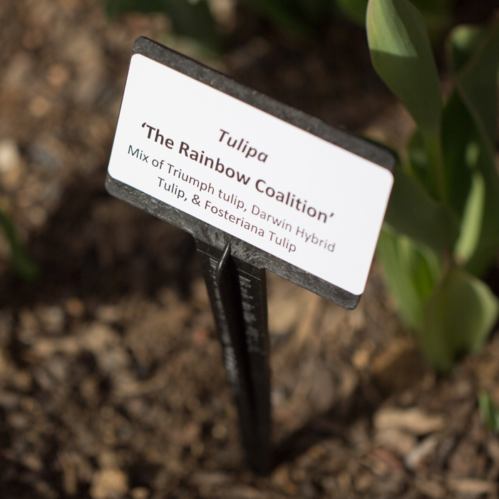 Label - Denver Botanic Gardens.jpg
