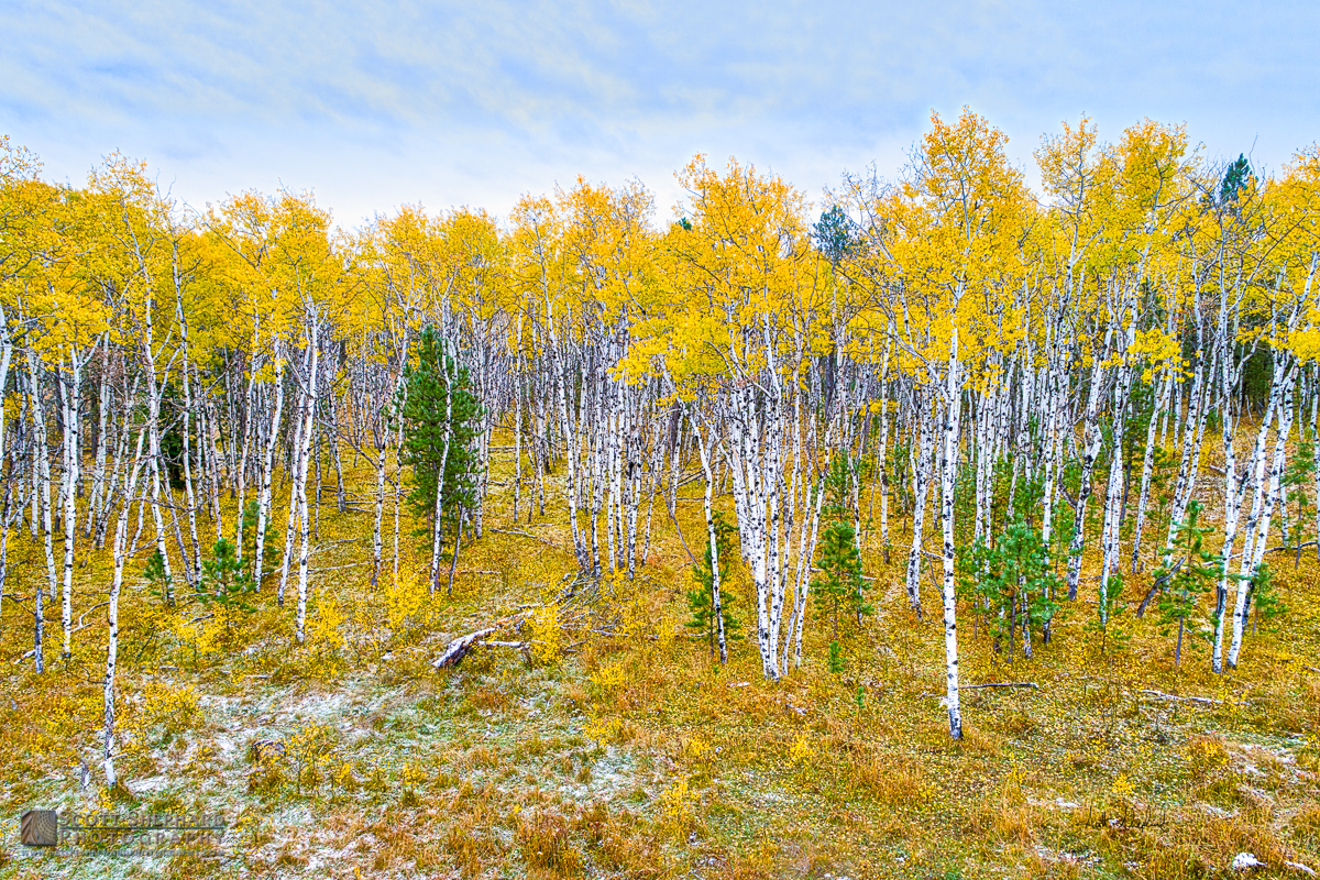 2017 10-28 Aspen Splendor.jpg