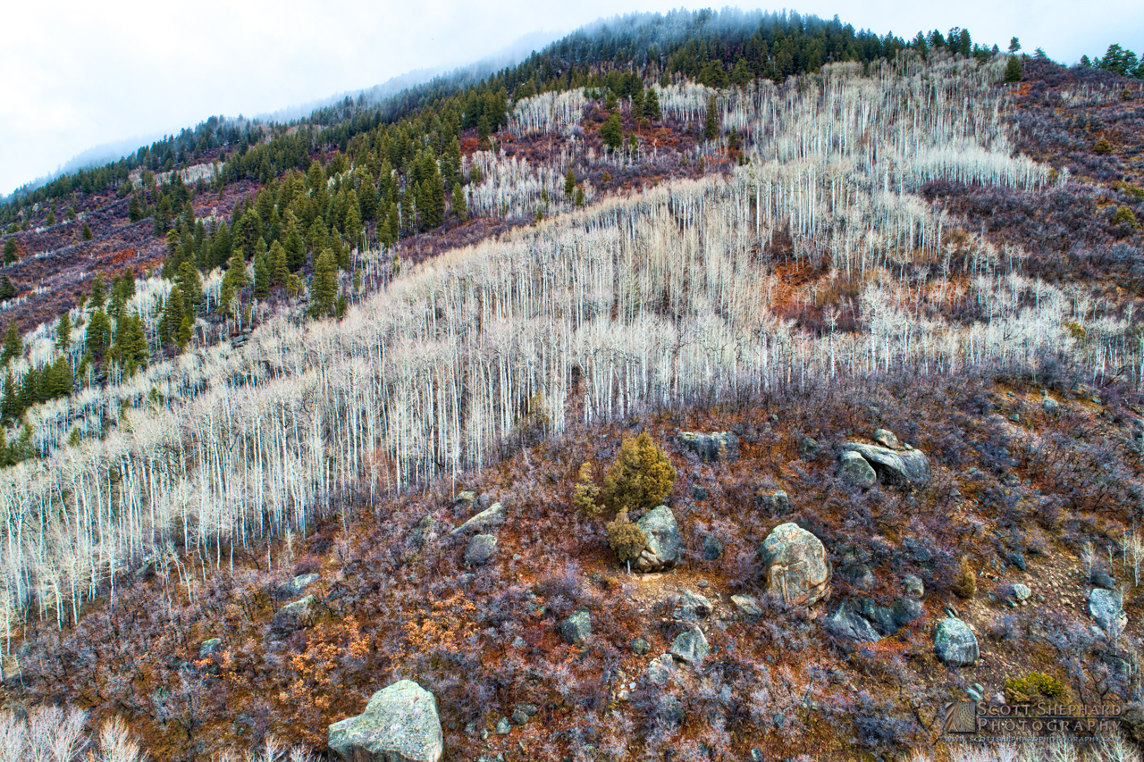 OutsideAspen-0156_AuroraHDR2018-edit.jpg