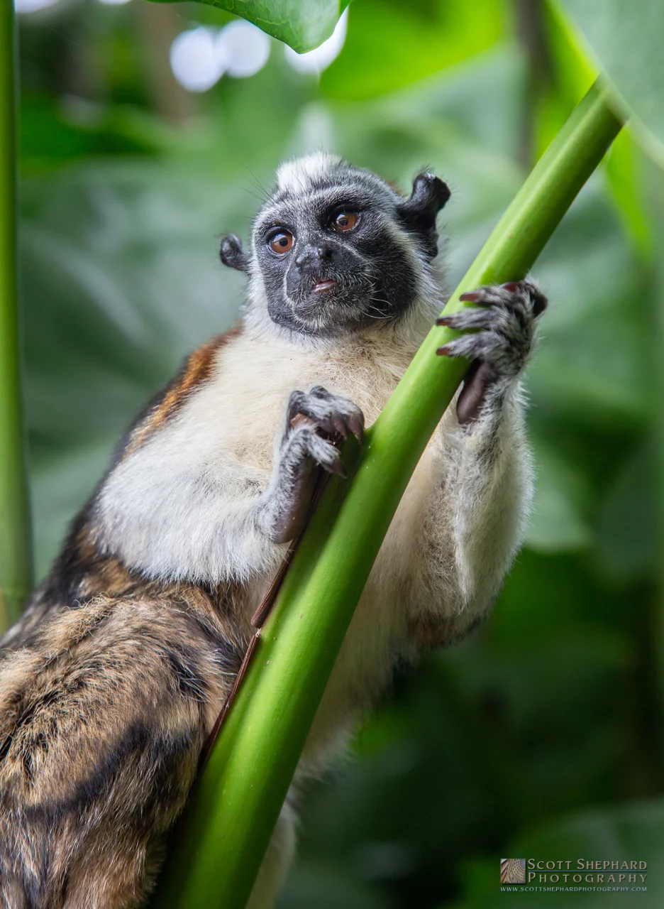 07-26-18 Everybody's Got Something to Hide . . . 