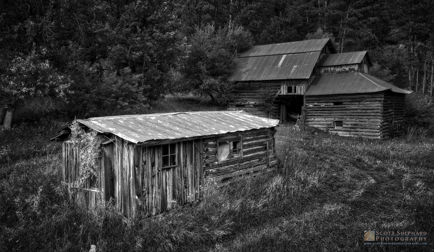 18.08.22 The Treasure in Grayhound Gulch.jpg