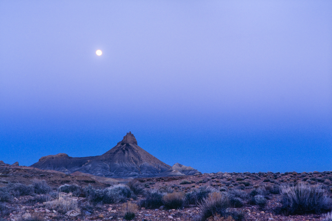 UtahTreesAndThings-0118.jpg