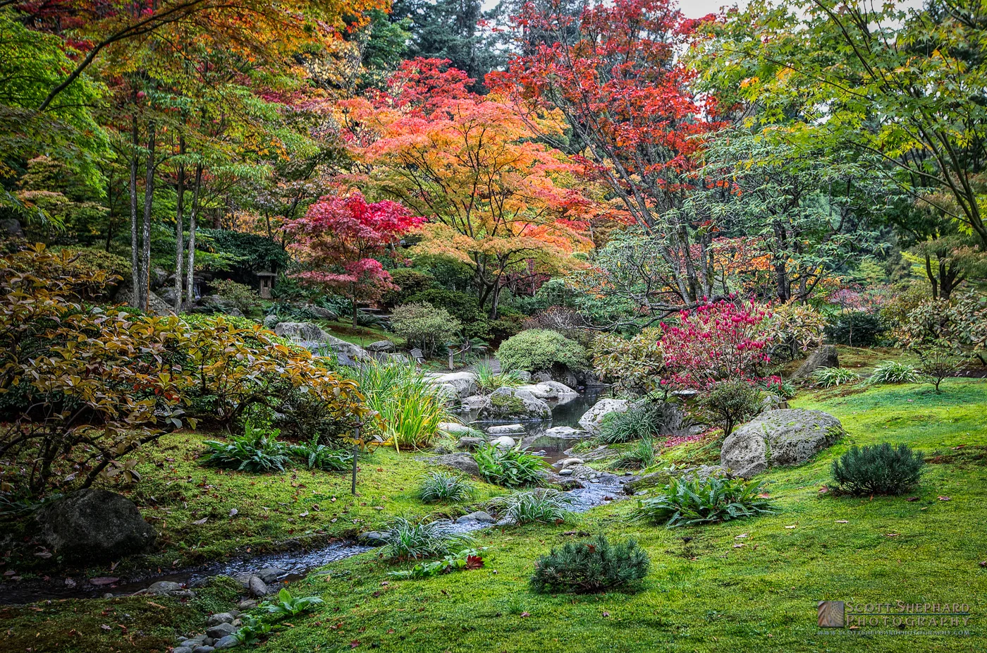 19.01.08 Japanese Garden - Seattle.jpg