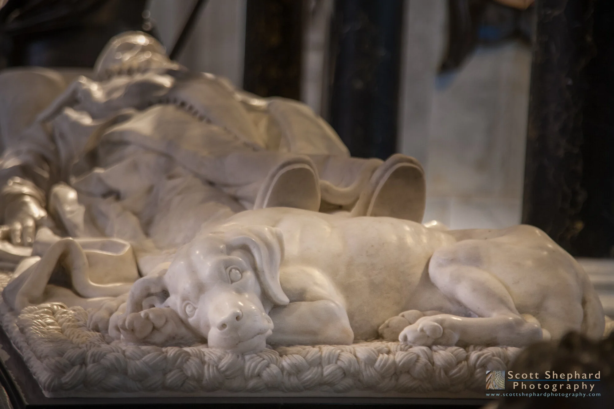 20.12.14 Constant Companion