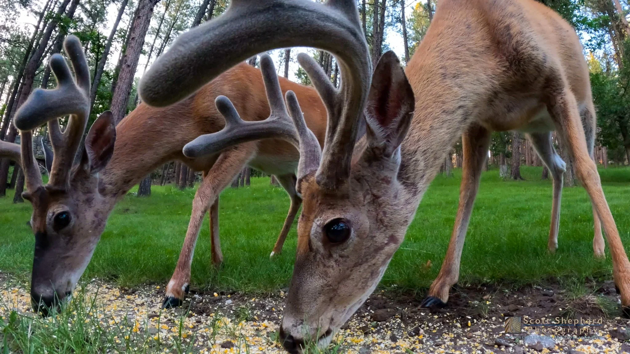 23.07.11 Breakfast with the Boys