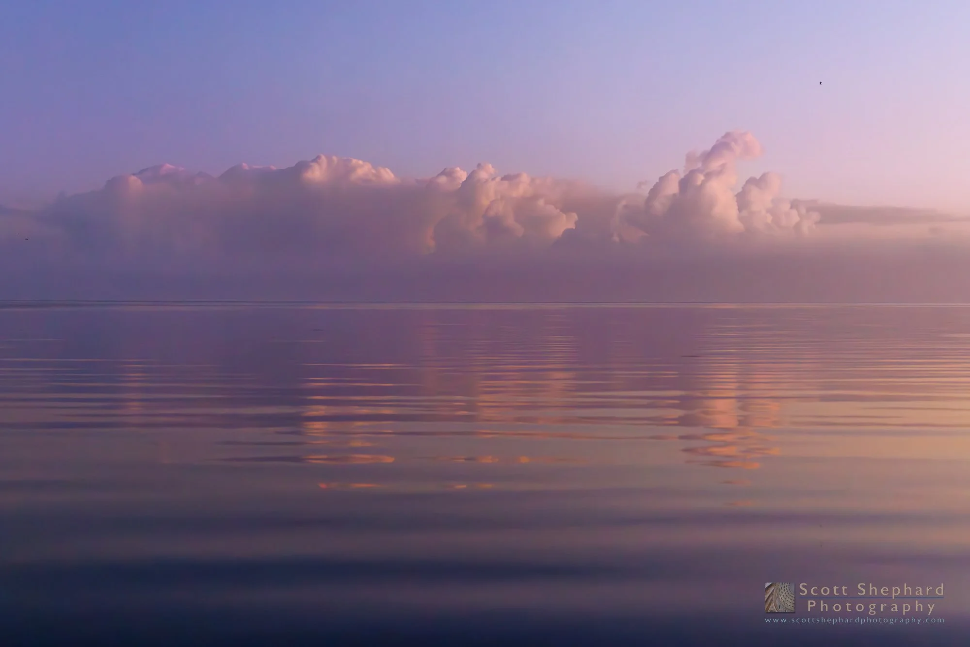 24.02.13 The Calm Before . . . ?