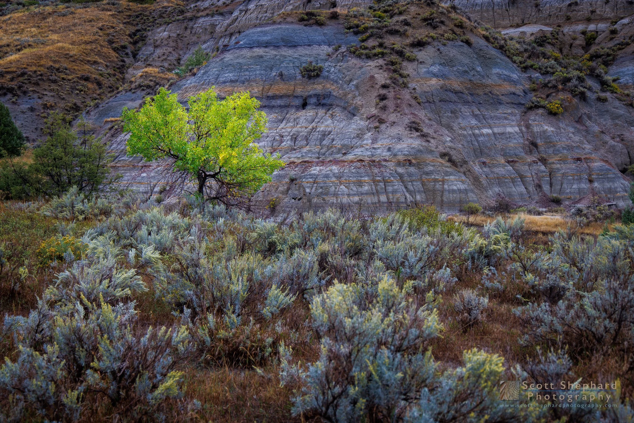 TeddyRooseveltNationalPark-September 14, 2026 IMG_9167.jpg