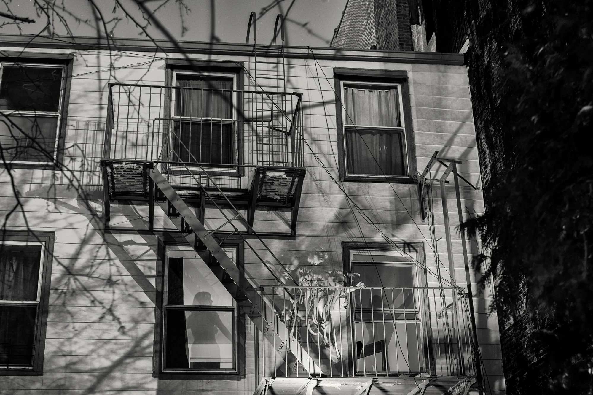Brooklyn Backyard with Heather Whatever