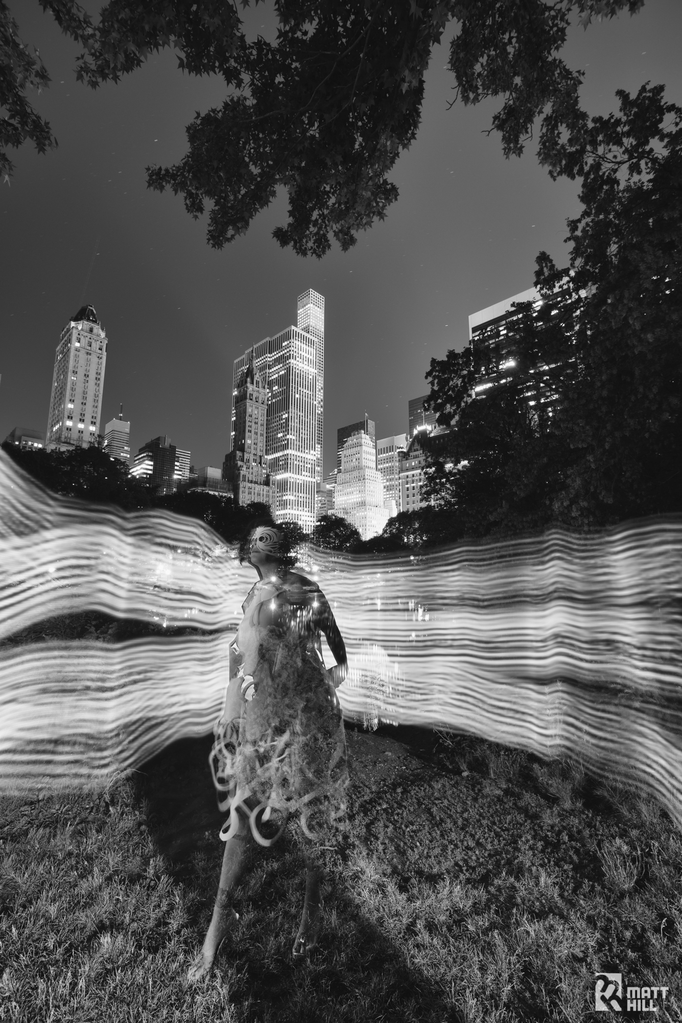 Iris Explosion at the Pond, Central Park NYC (Copy)