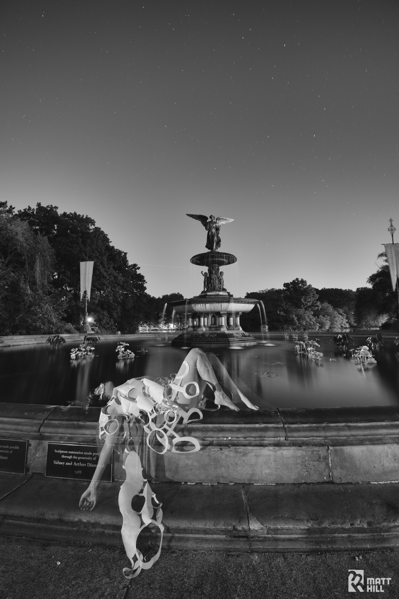 Iris Explosion at Bethesda Fountain, Central Park NYC (Copy)