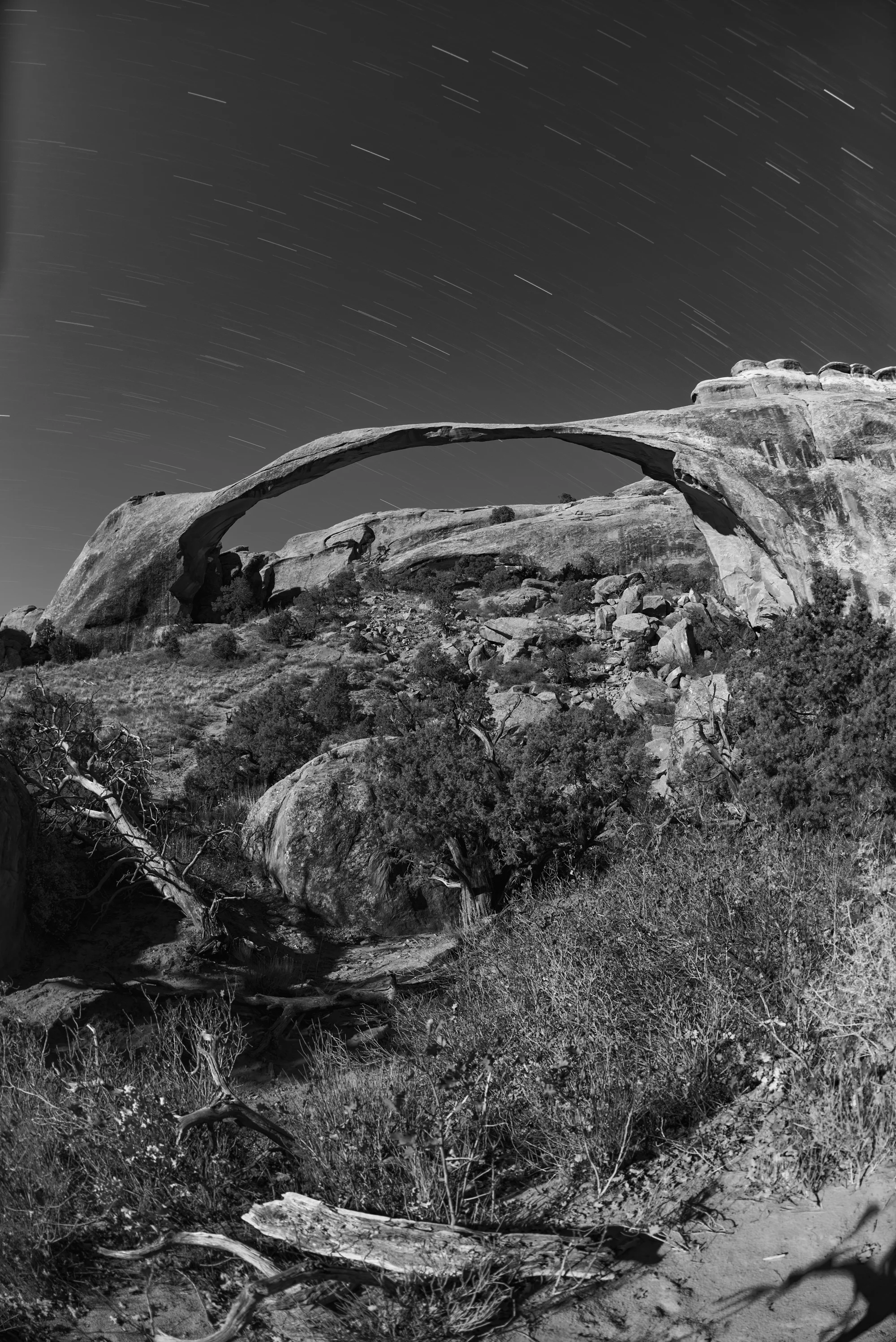 DSC_2279-Edit-Edit.jpg