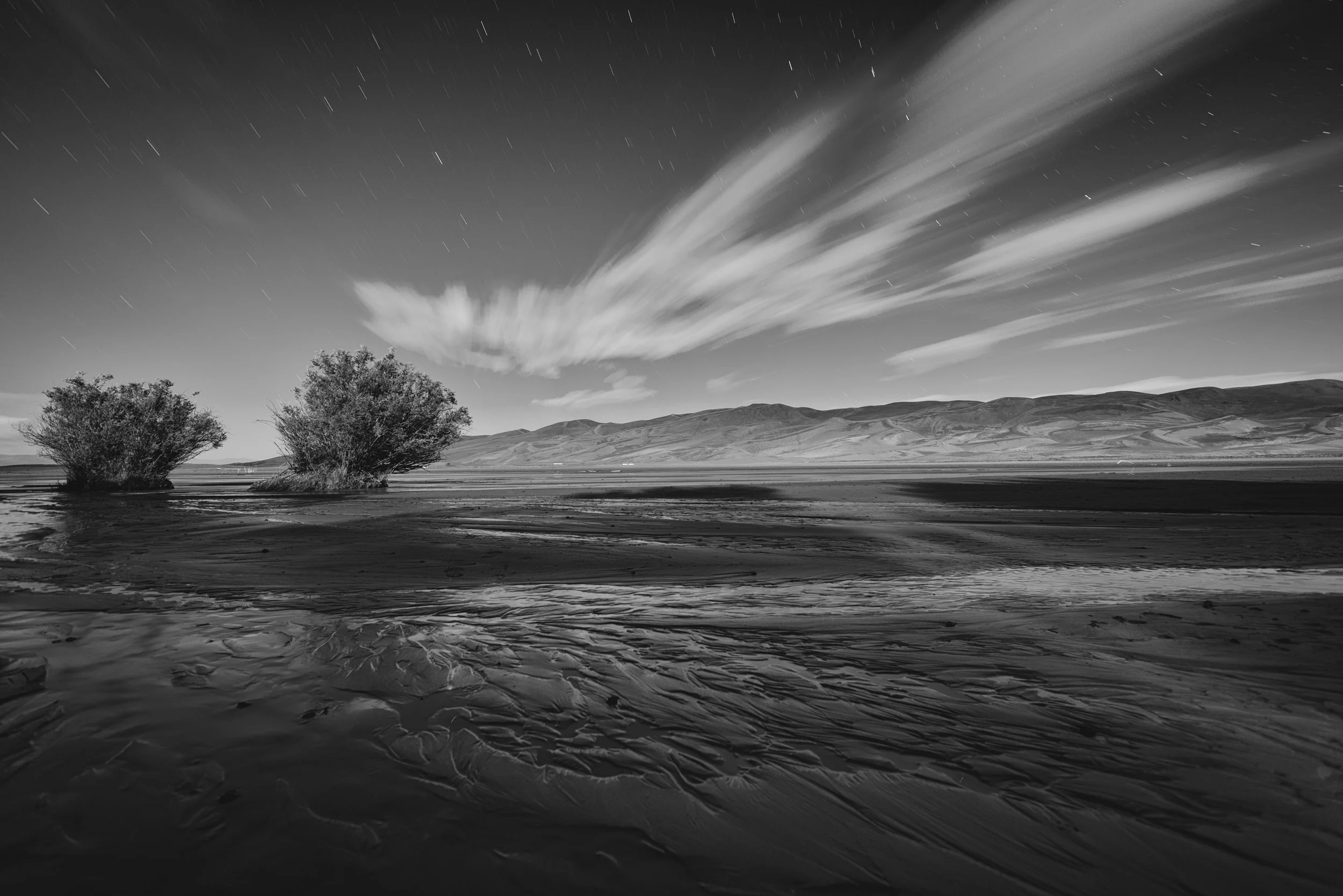 DSC_6806-Edit.jpg