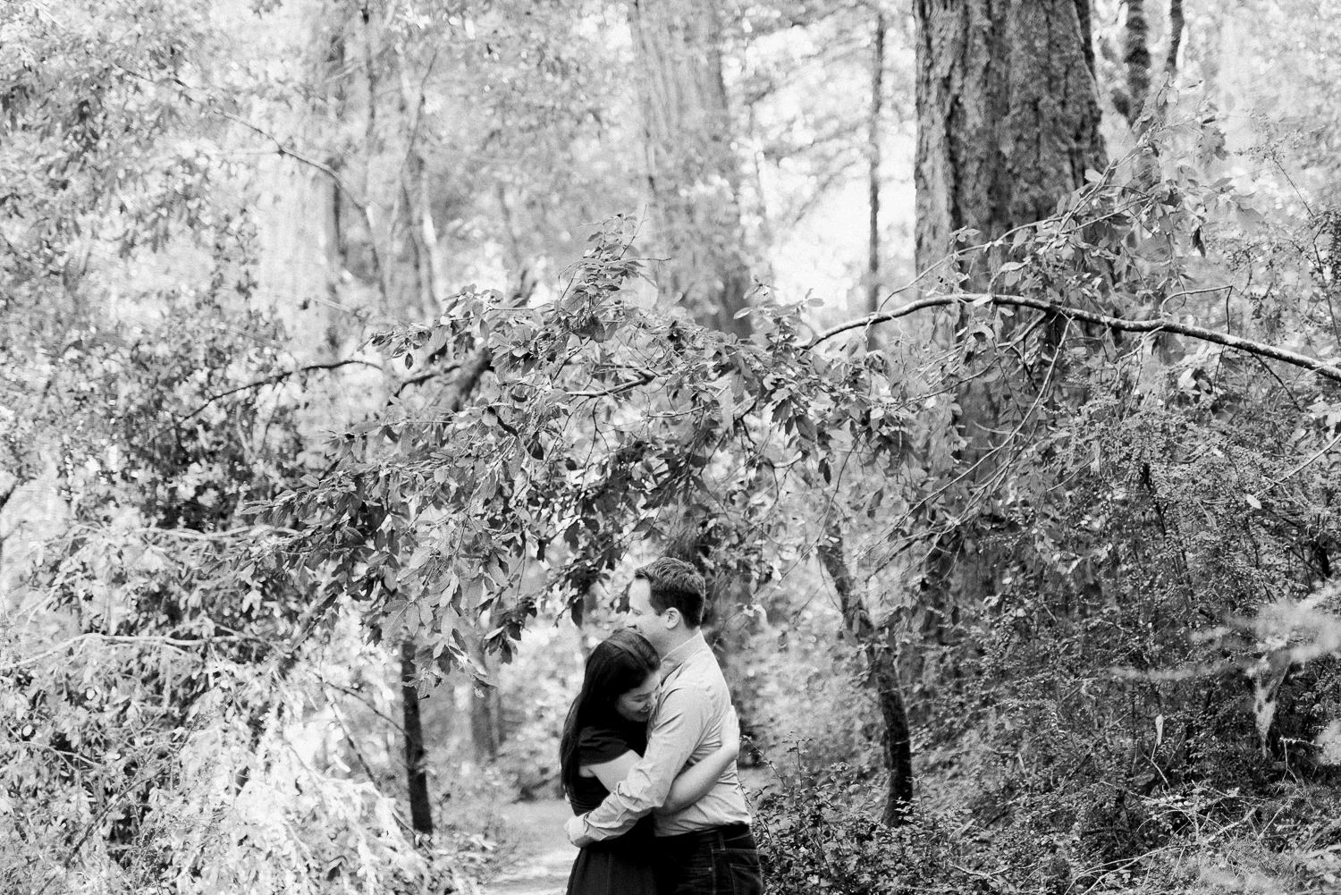 BIg Basin Redwoods State Park Engagement Session 001.jpg