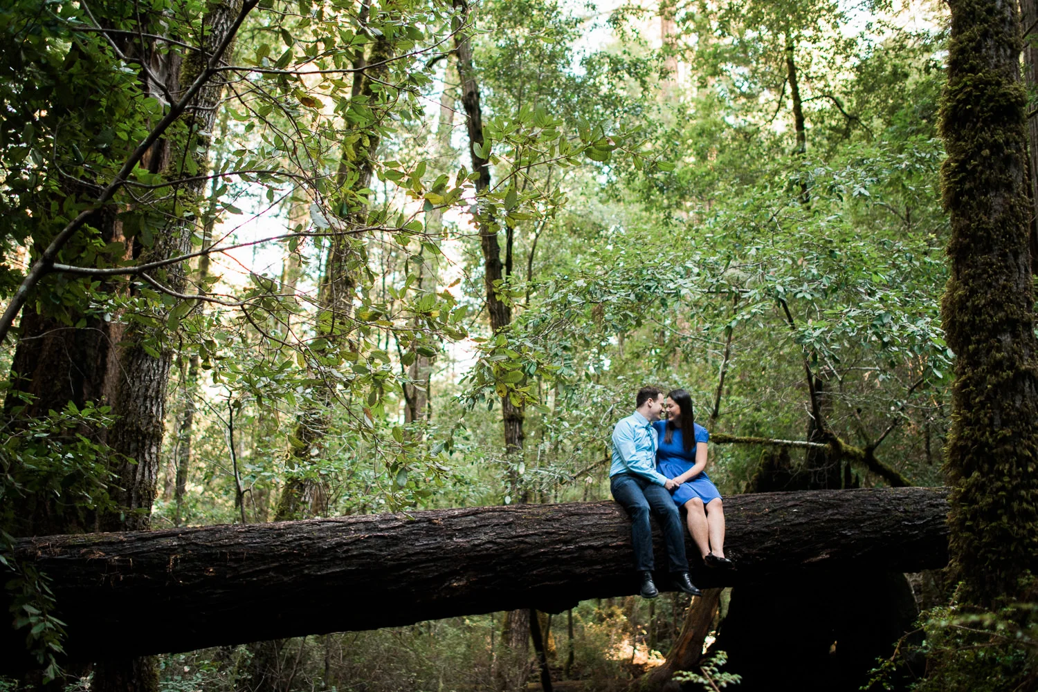 Big Basin Engagement Session by Annie Hall Photography.jpg