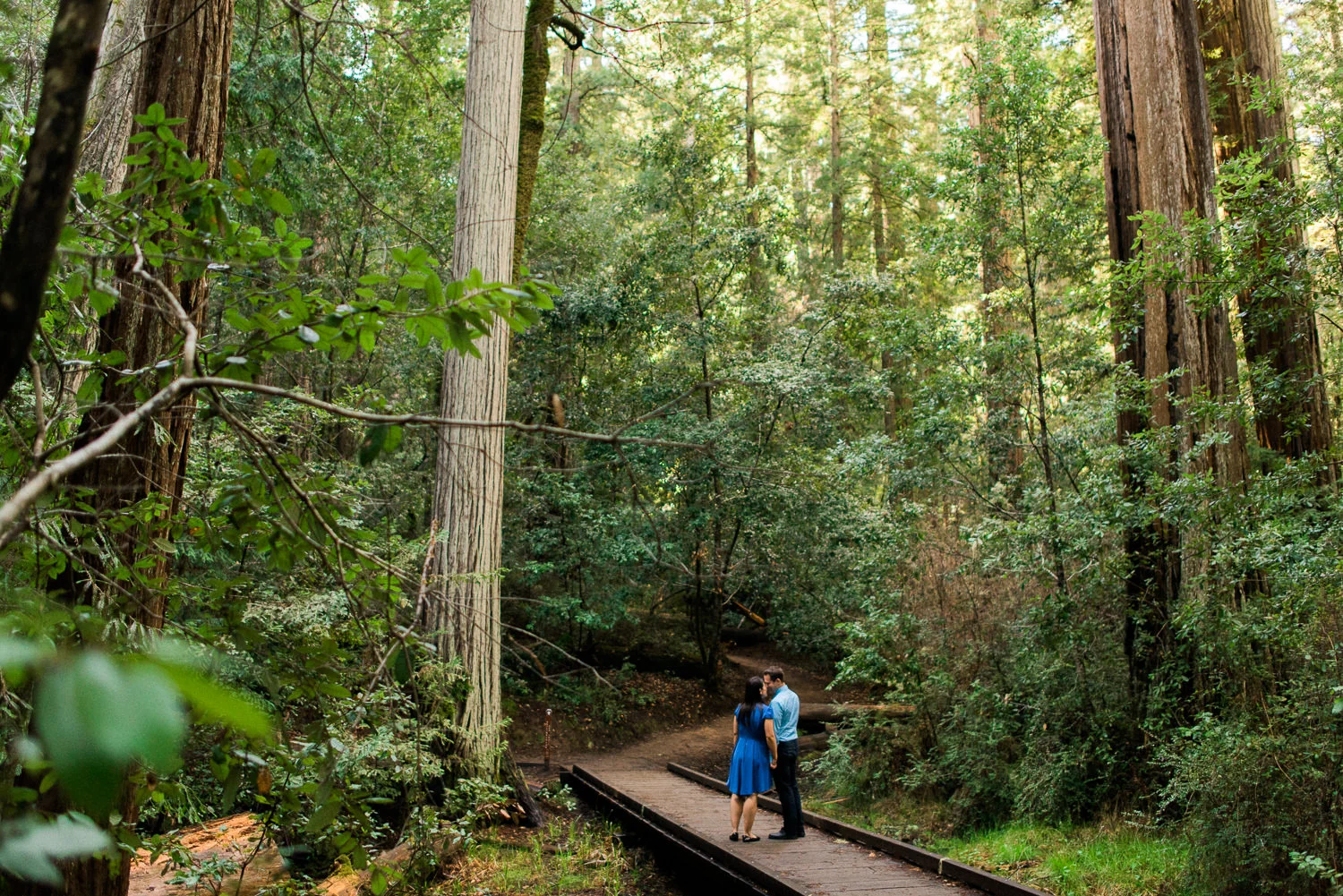 BIg Basin Redwoods State Park Engagement Session 002.jpg
