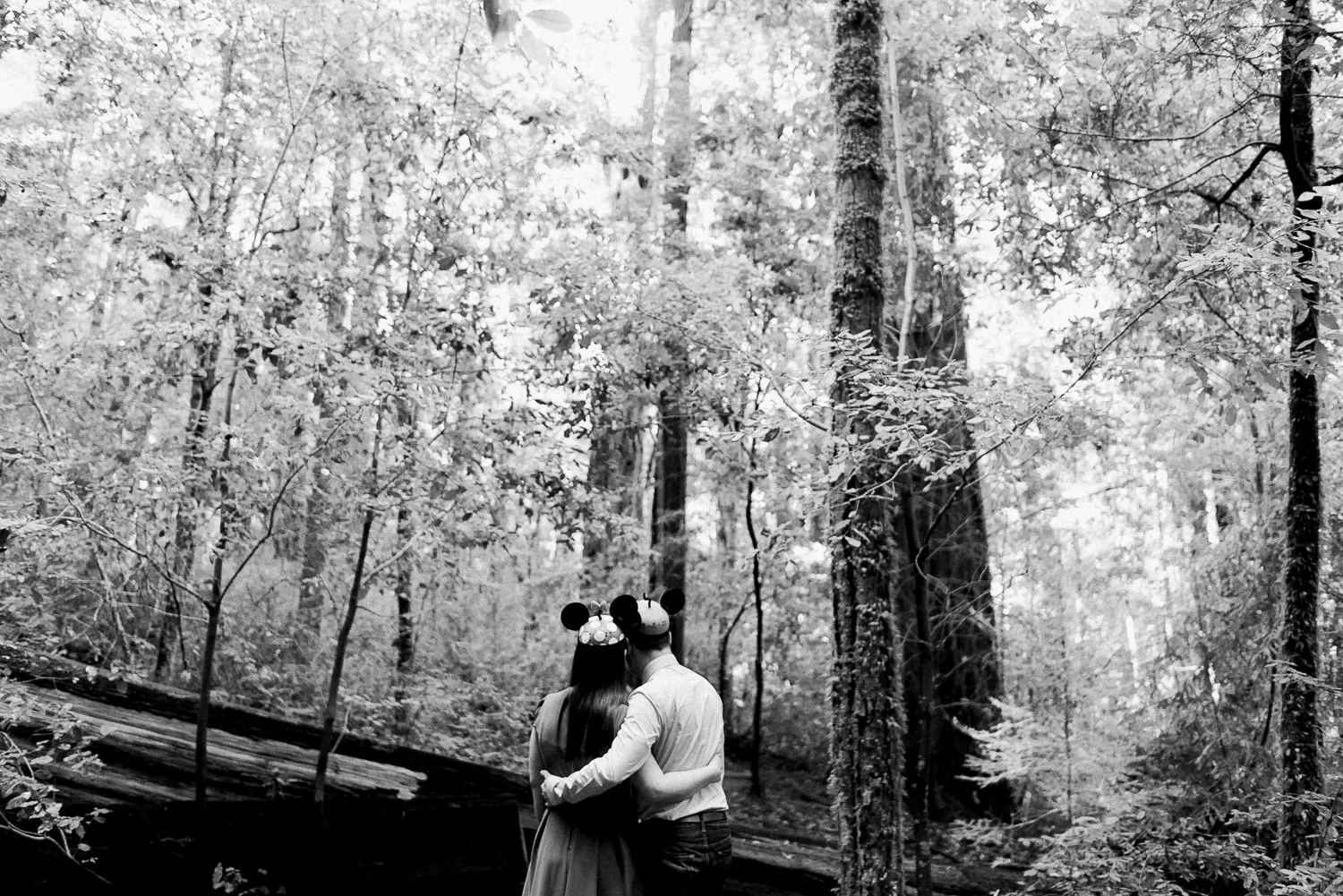 BIg Basin Redwoods State Park Engagement Session 003.jpg