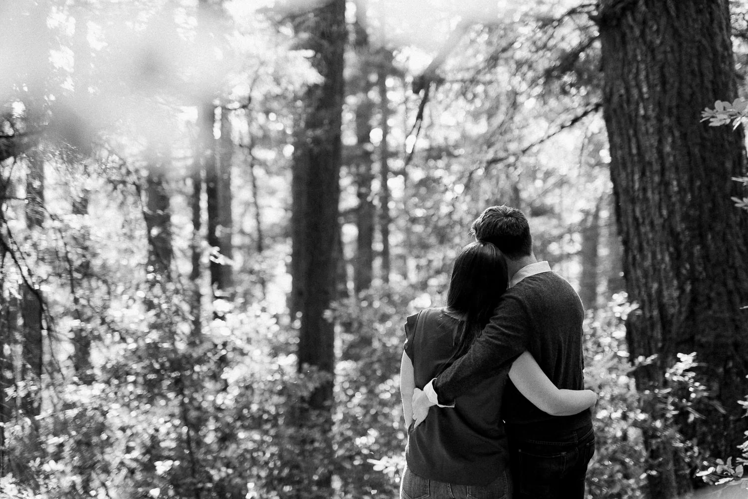 BIg Basin Redwoods State Park Engagement Session 020.jpg