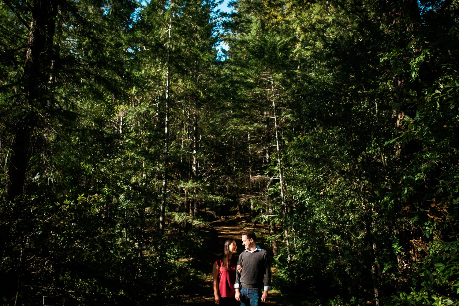 BIg Basin Redwoods State Park Engagement Session 018.jpg