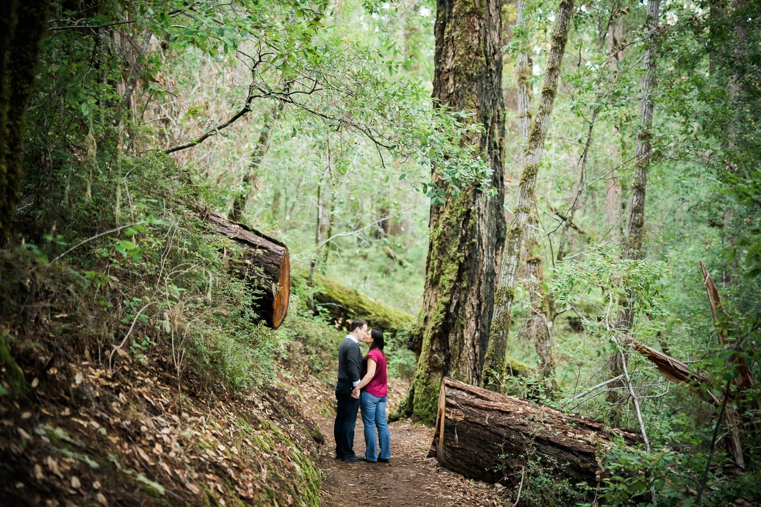 BIg Basin Redwoods State Park Engagement Session 023.jpg