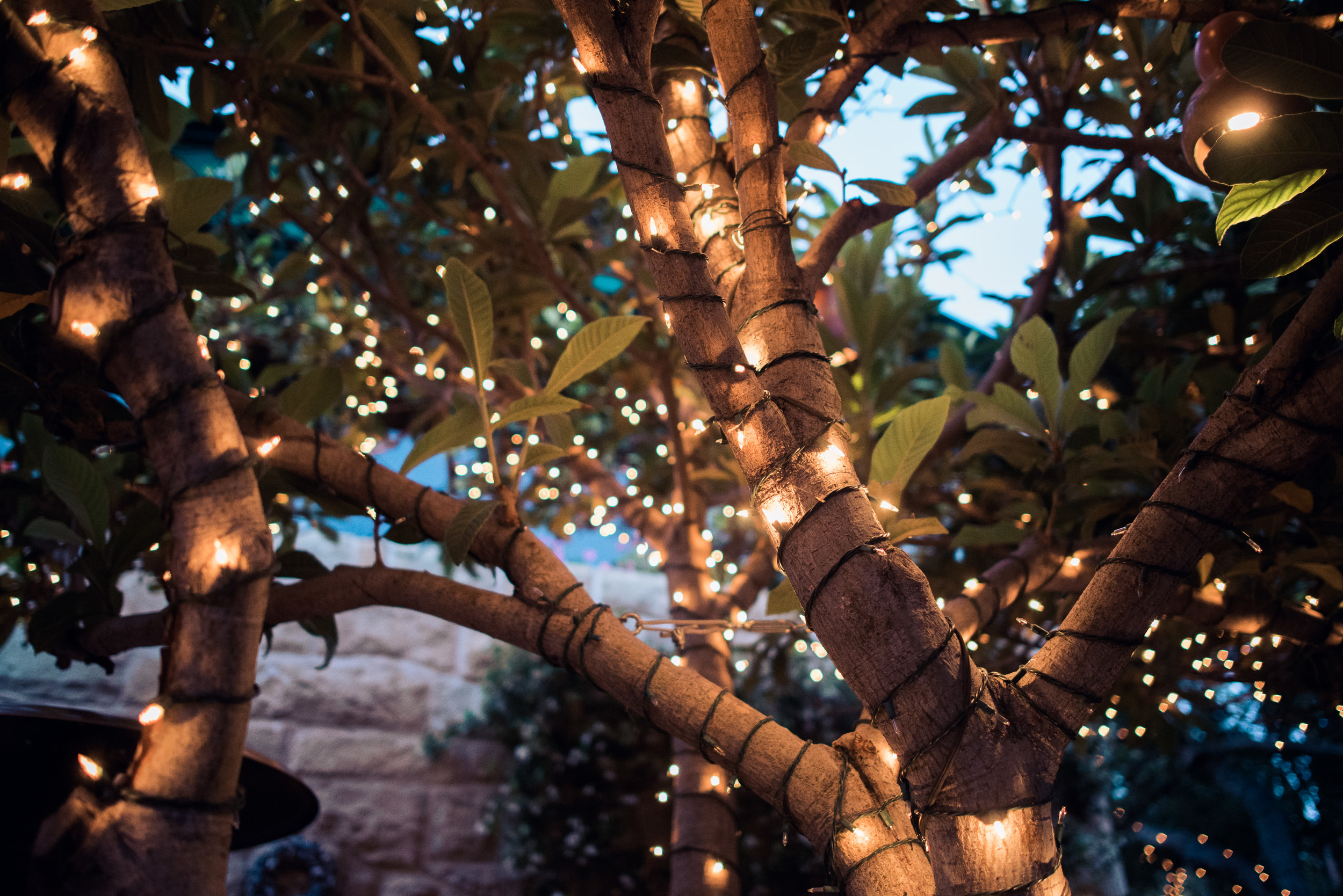 San Ysidro Ranch Wedding 041.jpg