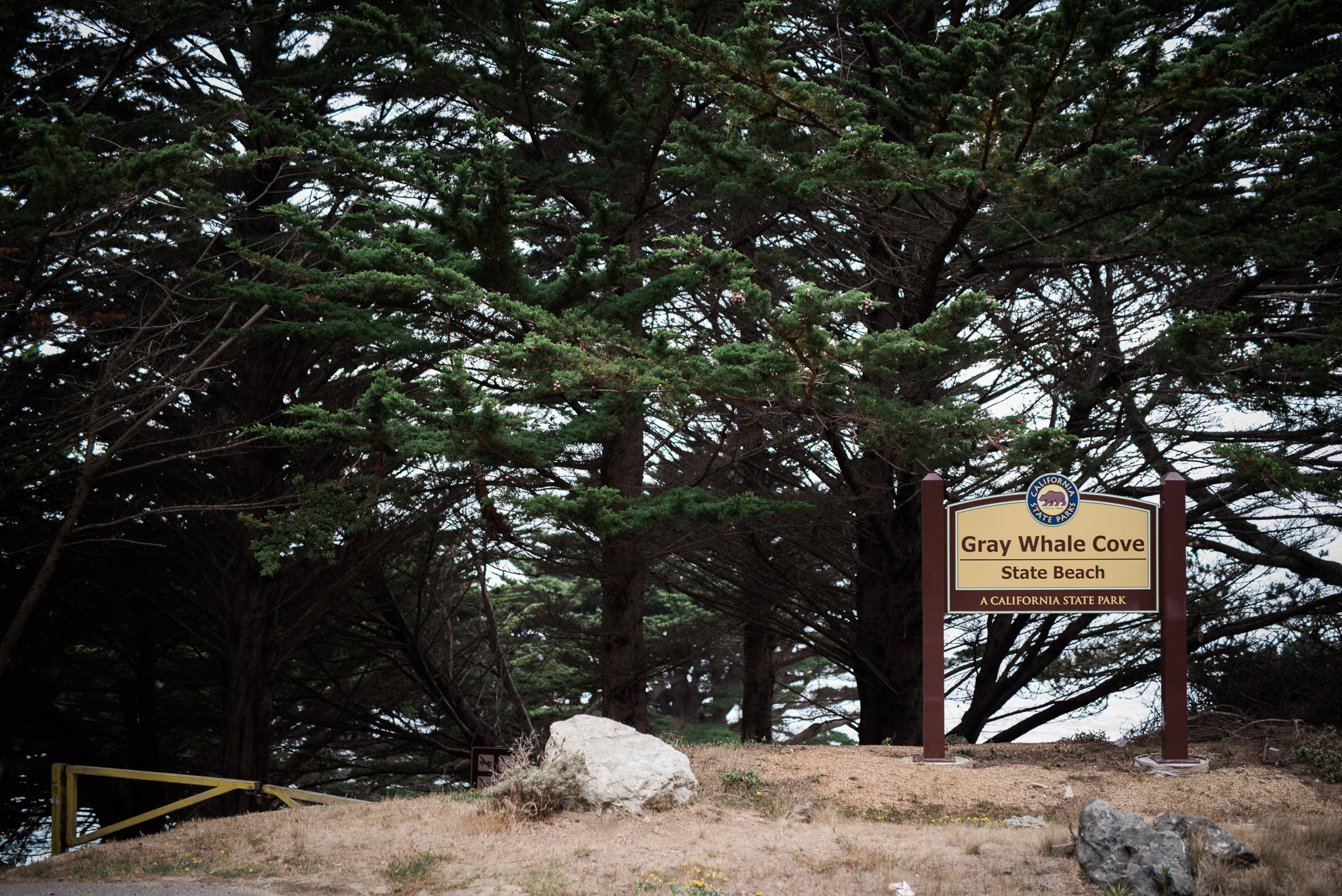 Gray Whale Cove Wedding 004.jpg