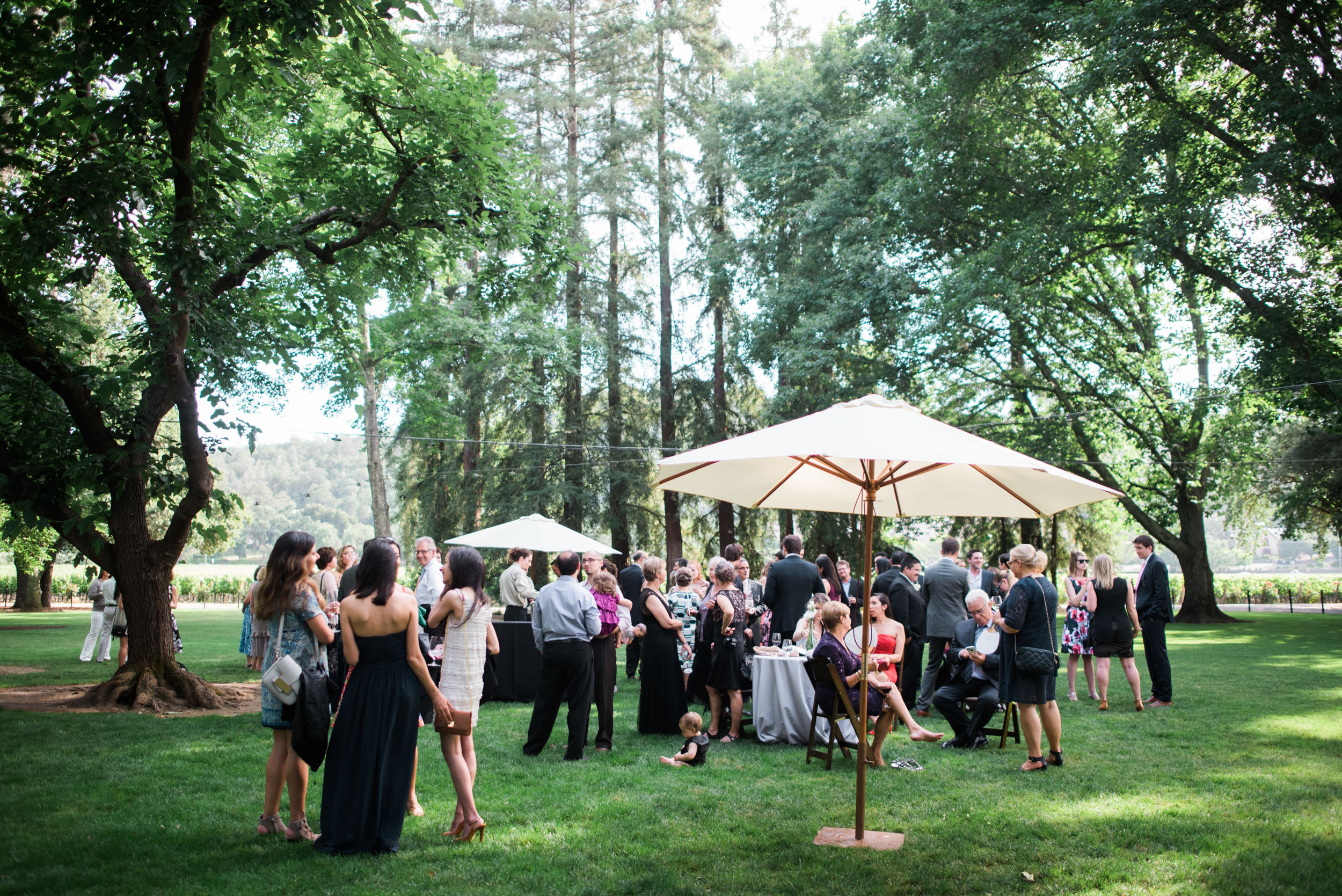 Charles Krug Winery Wedding 041.jpg
