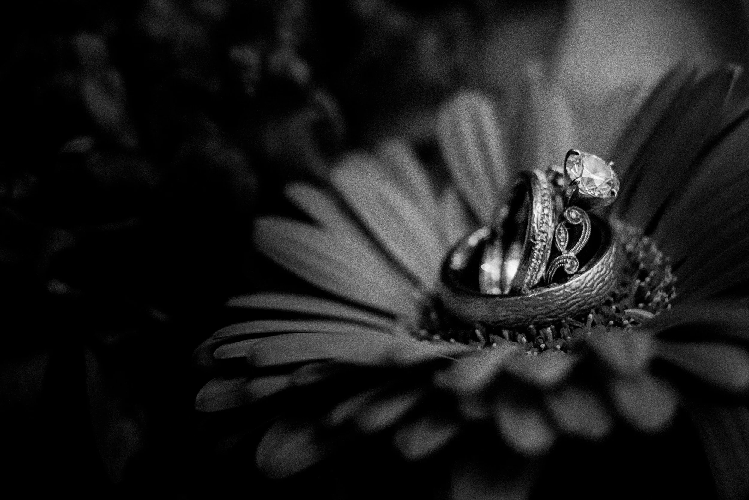 Intercontinental Mark Hopkins San Francisco Wedding 079.jpg