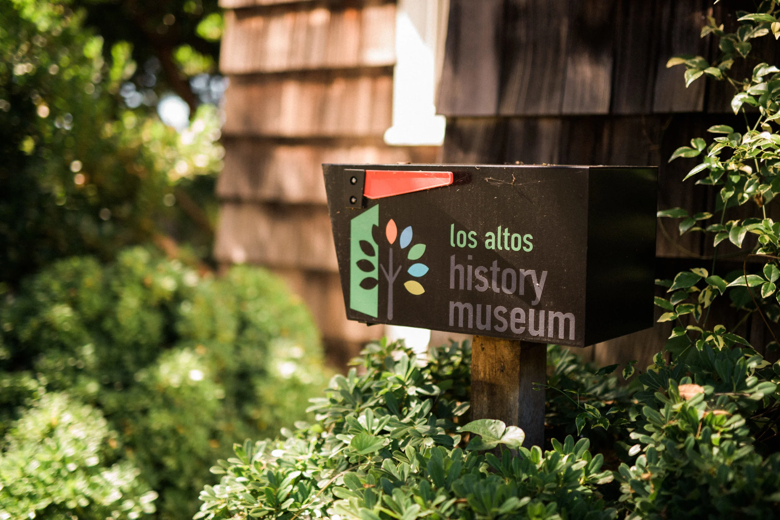 Los Altos HIstory Museum Wedding-20.jpg