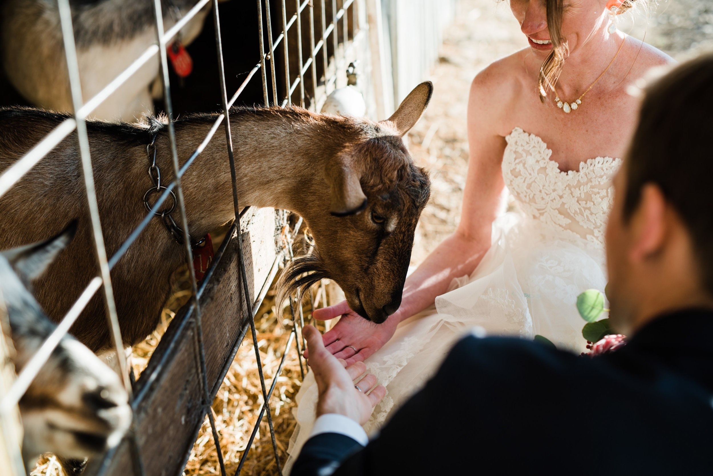 Harley Farms Wedding-66.jpg